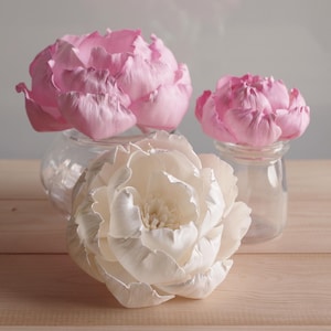 8 Peony Roses Sola Wood Diffuser Flowers 8cm Dia. with options of white or pink