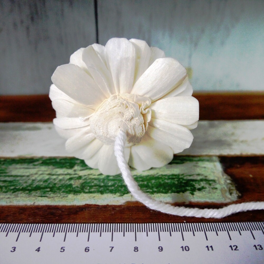 12 Jasmine Sola Wood Diffuser Flowers 7 Cm Dia. With Cotton Rope - Etsy