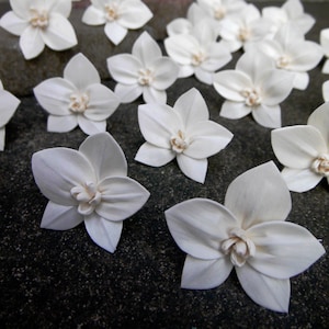 Puede incluir: Una colección de decoraciones blancas en forma de orquídea, de aspecto similar al papel. Las decoraciones están dispuestas sobre una superficie gris oscura.