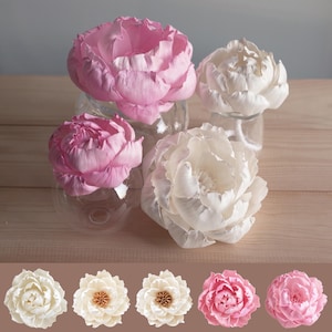 May include: Four artificial peony flowers in shades of light pink and white, each displayed in a clear glass vessel. Below, a horizontal row shows five individual peony flowers in varying shades of cream, white, and pink with visible centres.