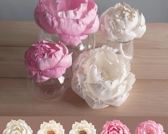 Pode incluir: Quatro peónias artificiais em tons de rosa claro e branco, cada uma apresentada num recipiente de vidro transparente. Abaixo, uma fila horizontal mostra cinco peónias individuais em vários tons de creme, branco e rosa com centros visíveis.