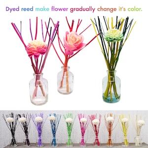 Könnte beinhalten: Klare Glasflaschen mit farbenfrohen Schilf-Diffusoren. Die Schilfrohre sind in verschiedenen Farben gefärbt, darunter Rosa, Lila und Grün, und mit dekorativen blütenförmigen Akzenten versehen. Der Text lautet: "Dyed reed make flower gradually change it's color."