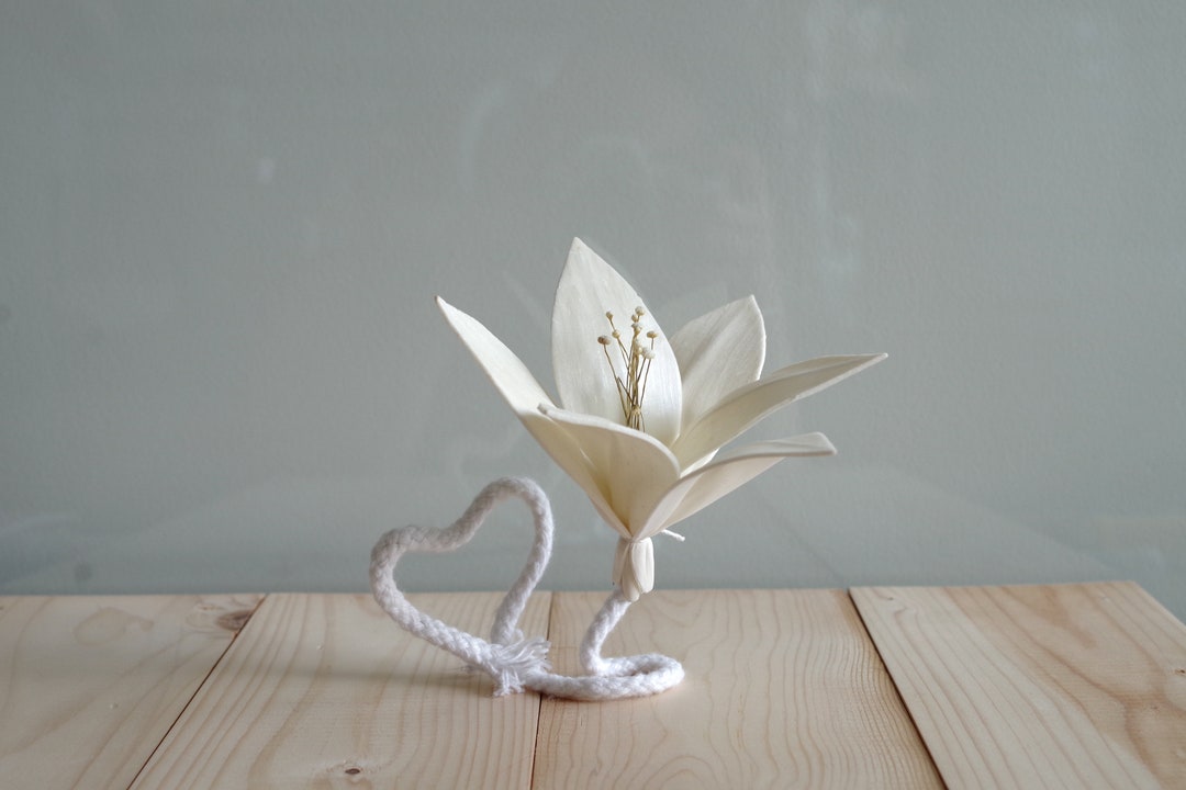 12 Lily Sola Wood Diffuser Flowers 10cm Dia. With an Option of 7.5in ...