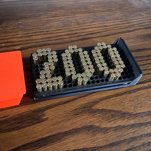 Custom 22LR ammo boxes, ammo case, ammo storage. Holds 200!