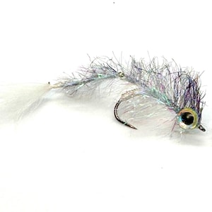 May include: A white and iridescent fly fishing lure with a white tail and a holographic eye.