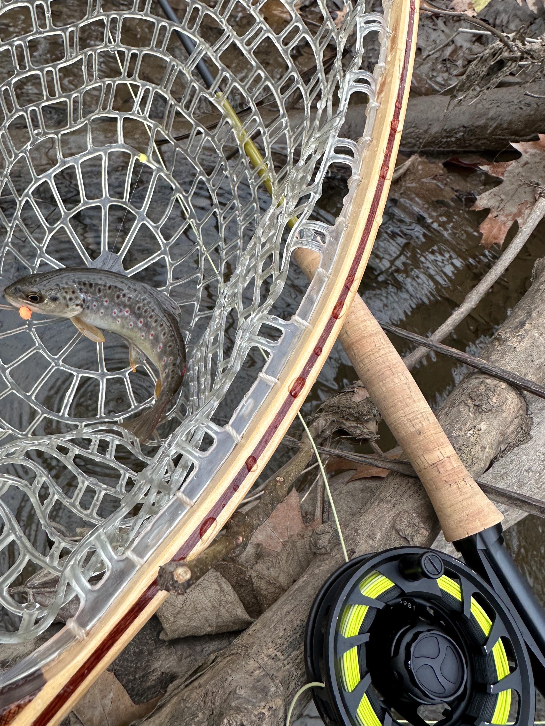 36 Moscas De Pesca Con Mosca De Tungsteno Eficaces Para Perd | Meses