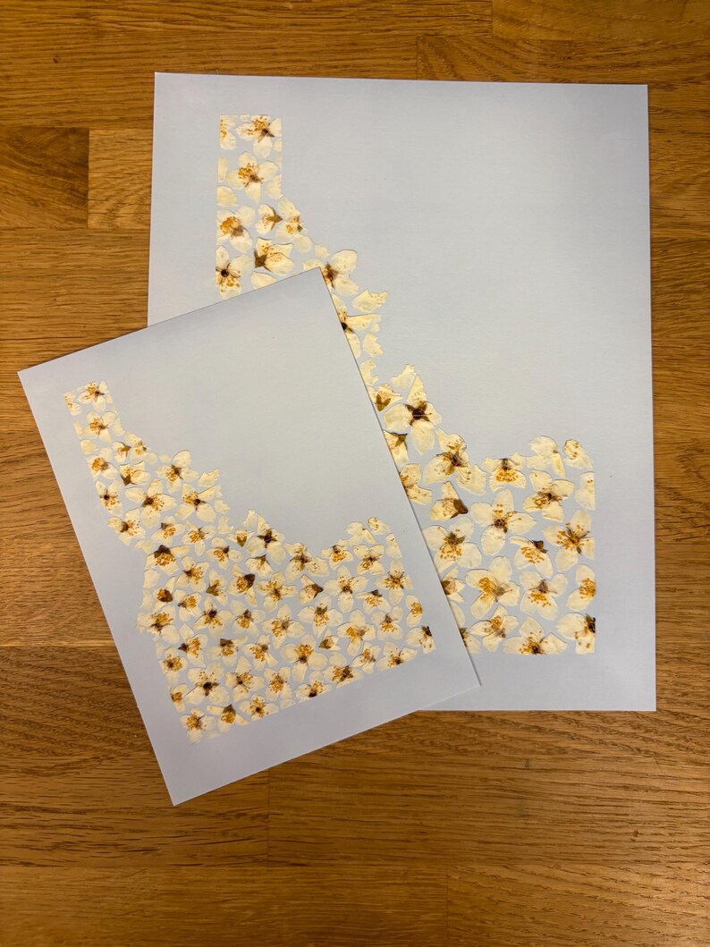 May include: Two light blue prints of the state of Idaho, each filled with white and brown floral patterns. The prints are on a wooden surface. The larger print is approximately 11 x 14 inches, and the smaller print is approximately 8 x 10 inches.