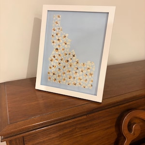 May include: A framed artwork featuring a light blue background with a floral arrangement in the shape of the state of Idaho. The flowers are white and tan. The frame is white and rectangular.