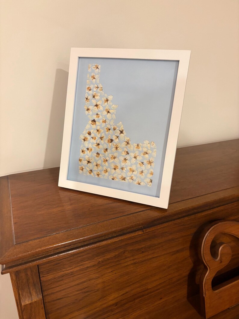 May include: A framed artwork featuring a light blue background with a floral arrangement in the shape of the state of Idaho. The flowers are white and tan. The frame is white and rectangular.