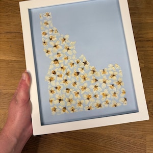 May include: A framed artwork featuring the outline of Idaho filled with white and yellow flowers on a light blue background. The white frame surrounds the artwork, creating a clean and modern aesthetic. The flowers are arranged to fill the state's shape.