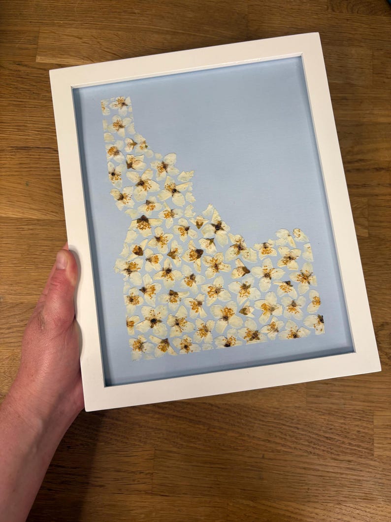 May include: A framed artwork featuring the outline of Idaho filled with white and yellow flowers on a light blue background. The white frame surrounds the artwork, creating a clean and modern aesthetic. The flowers are arranged to fill the state's shape.