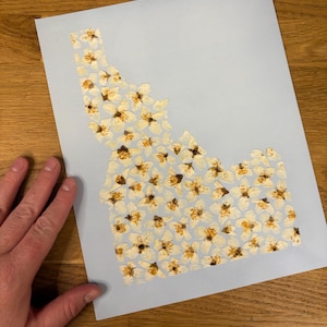 May include: A light blue paper with a floral design in the shape of the state of Idaho. The floral design is made of small white flowers with yellow centers. The paper is on a wooden surface.