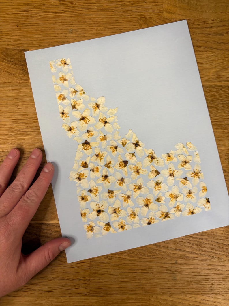 May include: A light blue paper with a floral design in the shape of the state of Idaho. The floral design is made of small white flowers with yellow centers. The paper is on a wooden surface.