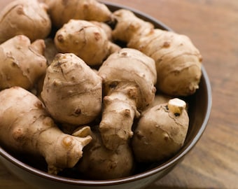 1LB Organic Jerusalem Artichoke Sunchokes: For Planting or Eating