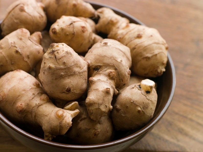 1LB Jerusalem Artichoke Sunchoke Organic For Planting or Eating AKA Sunchokes Sunroot or Jerusalem Artichokes 1 Pound image 1