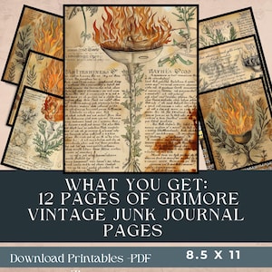 May include: A collection of vintage grimoire pages with illustrations of flames, plants, and text. The pages are arranged to show the design and text. The text at the bottom reads "WHAT YOU GET: 12 PAGES OF GRIMORE VINTAGE JUNK JOURNAL PAGES".