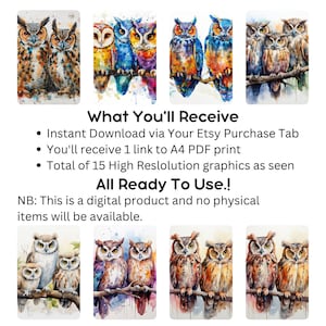 Owls, All Kinds of Owls, Hoot Owls, Barn Owls, Screech Own, Burrowing Owl, Horned Owl, pastel colored owls, 300 dpi owl artwork, owl art
