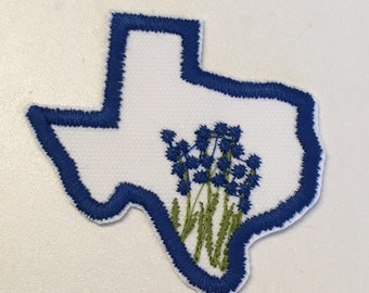 Texas bluebonnet patch