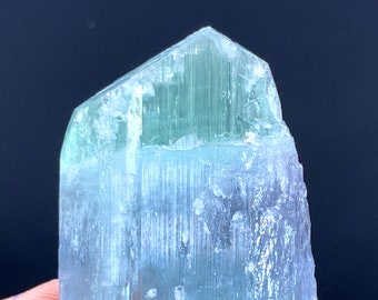 Natural Bicolor Kunzite Crystal Specimen, Afghanistan Mineral