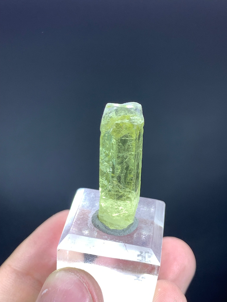 Puede incluir: Un esp&eacute;cimen de cristal amarillo p&aacute;lido montado sobre una base de acr&iacute;lico transparente. El cristal es largo y delgado con una punta puntiaguda.