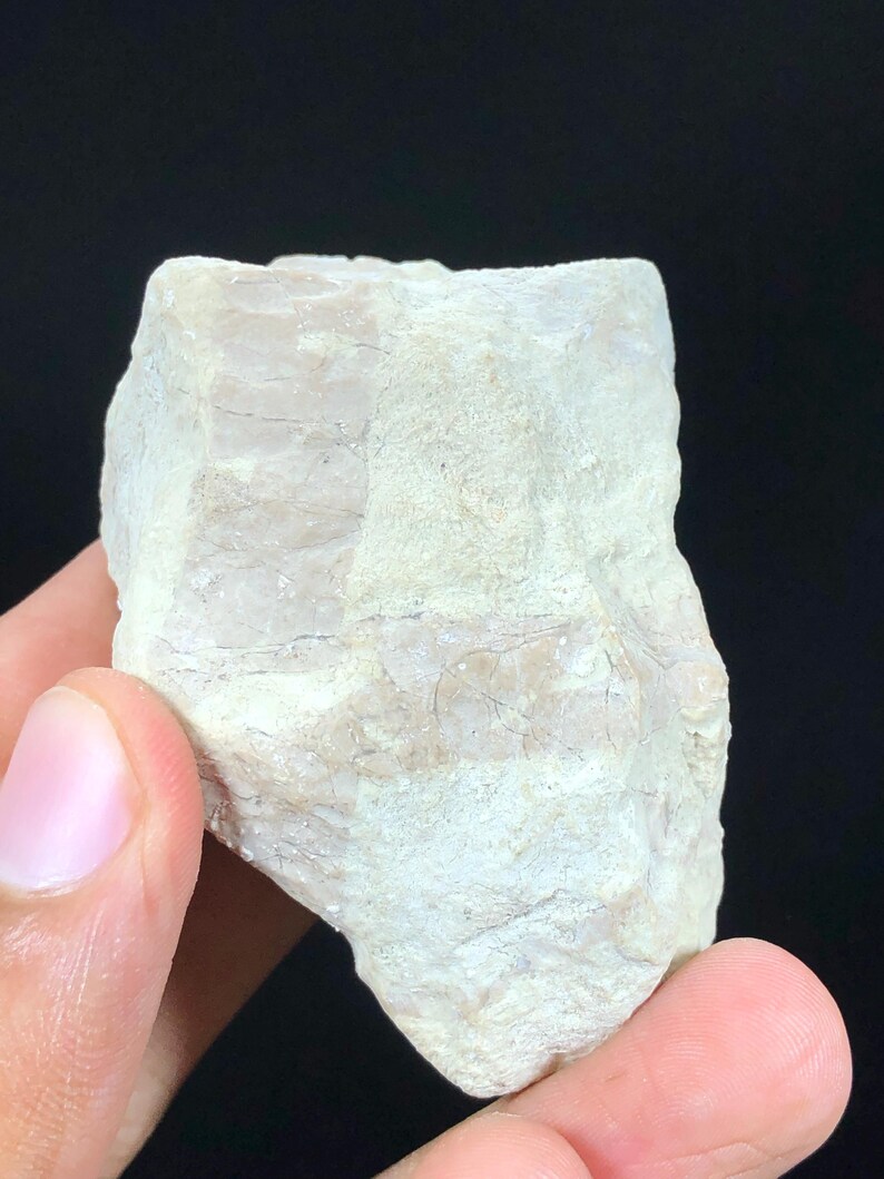 May include: A white, rough-textured rock with visible layers and a slightly pink hue.