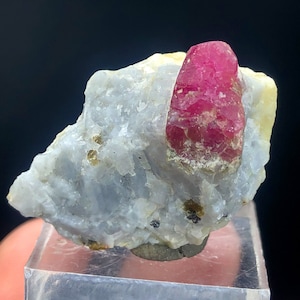 Könnte beinhalten: Ein leuchtend roter Rubin-Kristall, eingebettet in eine graue und weiße Gesteinsmatrix. Der Rubin hat eine tiefrote Farbe und eine glatte, polierte Oberfläche. Das Gestein ist rau und strukturiert.
