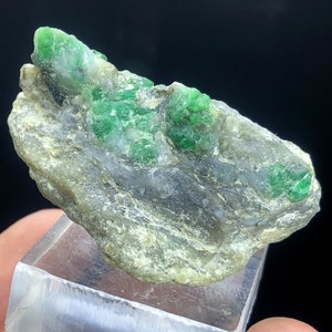 May include: A rough, gray rock with several bright green emerald crystals embedded in it. The rock is sitting on a clear display stand.