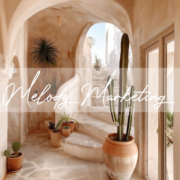 Faceless Reels Instagram Photo For Faceless Digital Marketing, Stone Entryway with Potted Cactus, Instant Download