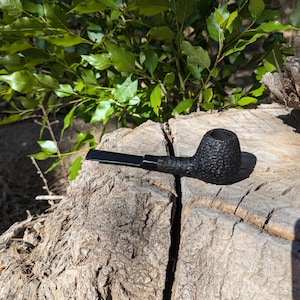 May include: A black tobacco pipe with a textured bowl and a long, slender stem rests on a weathered tree stump. The pipe is positioned horizontally, with the bowl facing the viewer. The background features green foliage and sunlight.