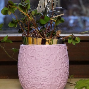 Könnte beinhalten: Ein rosa, gemusterter Blumentopf mit einer Pflanze mit grünen und burgunderfarbenen Blättern. Ein goldumrandeter Behälter sitzt auf dem Topf, und eine silberne Glitzer-Dekoration "2020" ist in die Pflanze gesteckt.