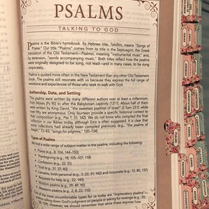 Personalized NLT Pink Faux Leather Spiritual Growth Bible image 2