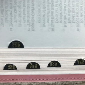 Open Bible with black tab dividers. The tabs are labeled with abbreviations of book names, such as "LAM," "EZE," and "DAN." The pages are white, and the cover is a light pink color.