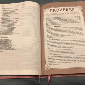 Personalized NLT Pink Faux Leather Spiritual Growth Bible image 7