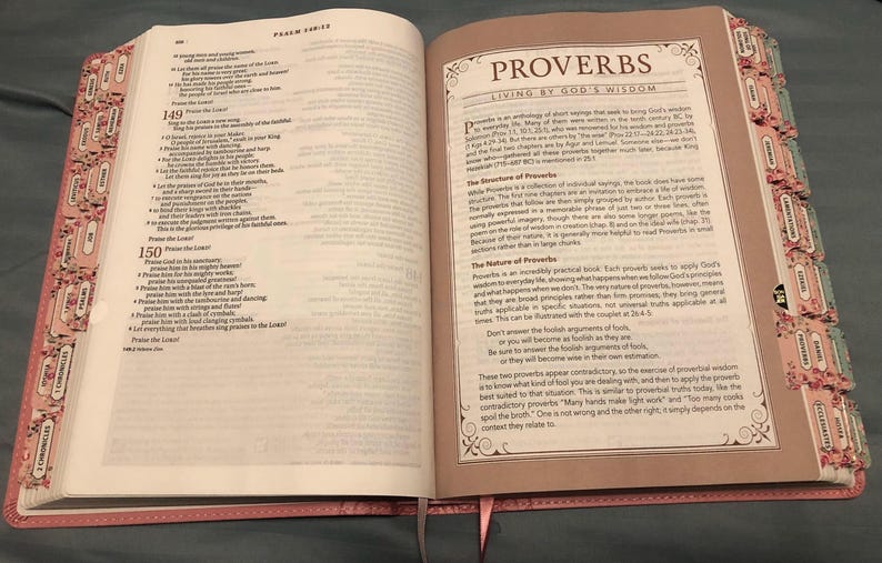 Personalized NLT Pink Faux Leather Spiritual Growth Bible image 7