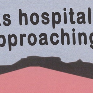 silver jews "in 1984 i was hospitalized for approaching perfection" bumper sticker
