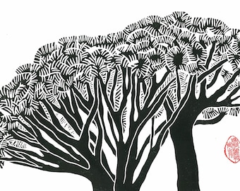 Dragon trees print, Mediterranean style. Striking black & white block print for your personal art collection. For the succulent plant lover