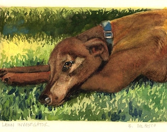May include: A watercolor painting of a brown dog with a blue collar lying on green grass. The dog rests its head on its front paws. The text "LAWN INVESTIGATOR" is printed in the bottom left corner and "B. DEL PESCO" in the bottom right.