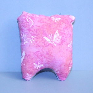 Butterfly Tooth Fairy Pillow