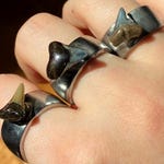Fidget Rings