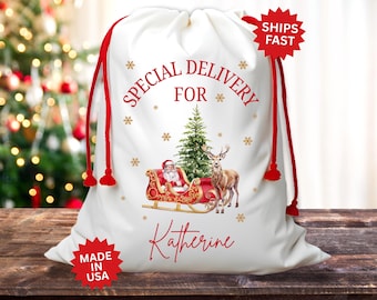 May include: White Christmas gift bag with red drawstring closure. The bag features a festive design with Santa in a sleigh, a Christmas tree, and a reindeer. The words "Special Delivery For Katherine" are printed in red.