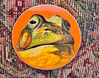 DANG Frog stickers!