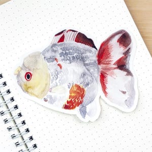 Pegatina gigante de pez dorado en acuarela – Acabado de vinilo brillante