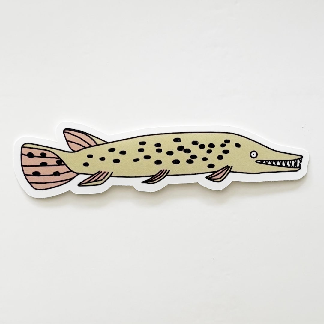 Alligator Gar Vinyl Sticker – 4” Funny Fish Decal - Etsy