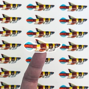 May include: Watercolor stickers of fish with brown, yellow, and blue details. The fish have a striped pattern and are arranged on a white background. One sticker is held up by a finger. The fish stickers are a unique design.