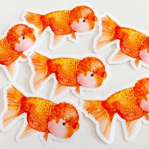 Lionchu Goldfish Watercolor Sticker – Glossy Vinyl