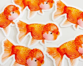 Lionchu Goldfish Watercolor Sticker – Glossy Vinyl