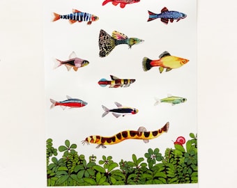 Aquarium Fish Variety Sticker Sheet | 5" x 7" Glossy Stickers from Original Colored Pencil Art