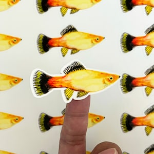 Southern Platy Fish Vinyl Sticker Sheet | 18 Glossy Aquatic-Themed Decals for Fish Lovers