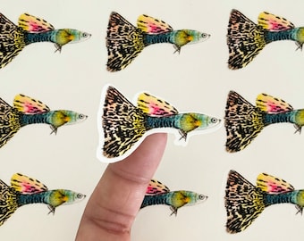 Fancy Guppy Vinyl Sticker Sheet | 24 Glossy Fish Decals for Aquarium Lovers & Aquascaping Fans