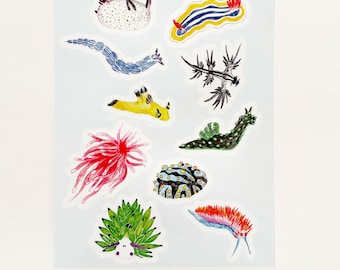 Sea Slug Variety Sticker Sheet, Nudibranch Ocean Stickers, Planner Stickers, Marine Gift
